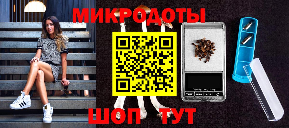 Куйбышев  Псилоцибиновые грибы Magic Shrooms  Вход с VPN 